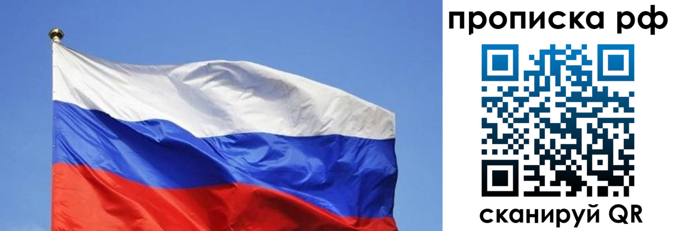 прописка поиск в Егорьевске